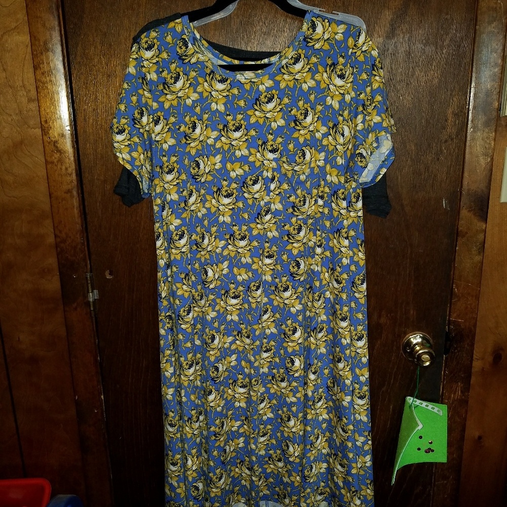 Lularoe carly